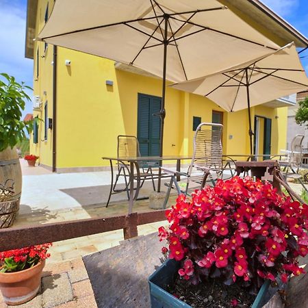 La Casa Del Vino - B&B Tollo Exterior photo