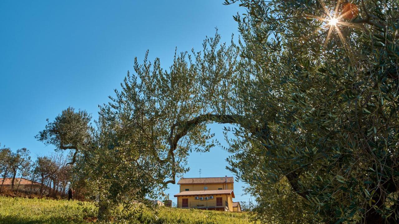 La Casa Del Vino - B&B Tollo Exterior photo